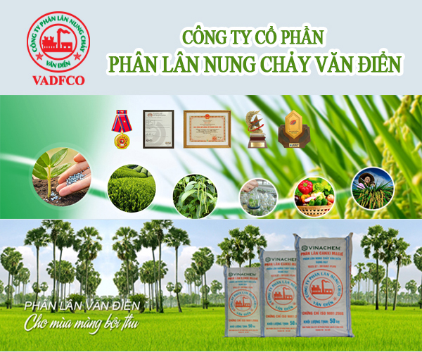 cong-ty-co-phan-phan-lan-nung-chay-van-dien